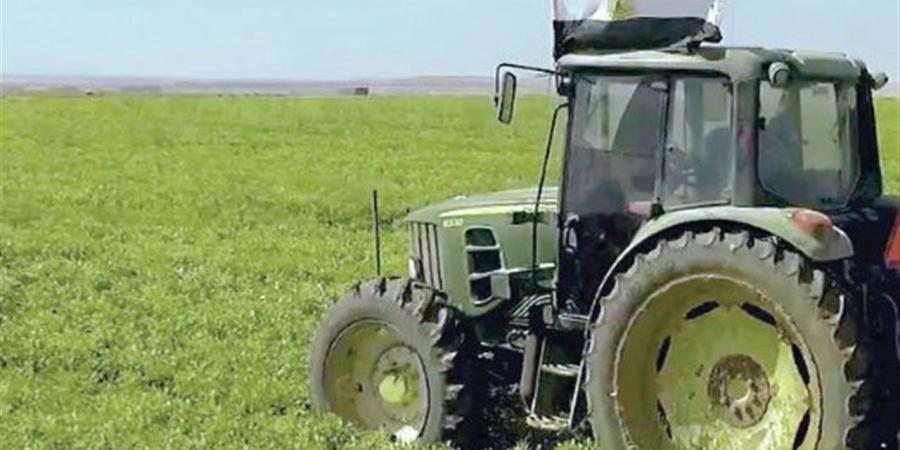 أزلنا الإخوان وبدأنا البناء استصلاح ملايين الأفدنة.. واكتفاء ذاتى من المنتجات والسلع الأساسية