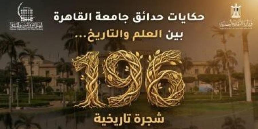 التنسيق الحضارى يوثق 196 شجرة تاريخية بجامعة القاهرة.. اعرف تفاصيل
