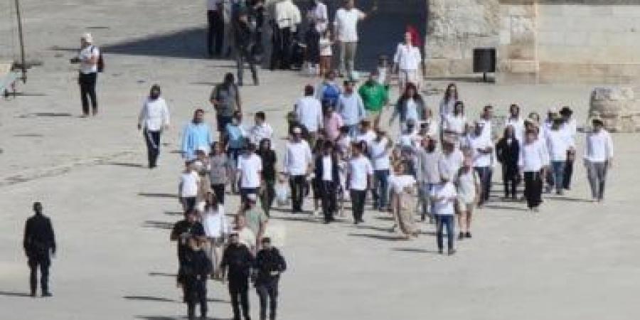 مستوطنون يتلفون خط مياه ويسرقون أجزاء منه شرق طمون