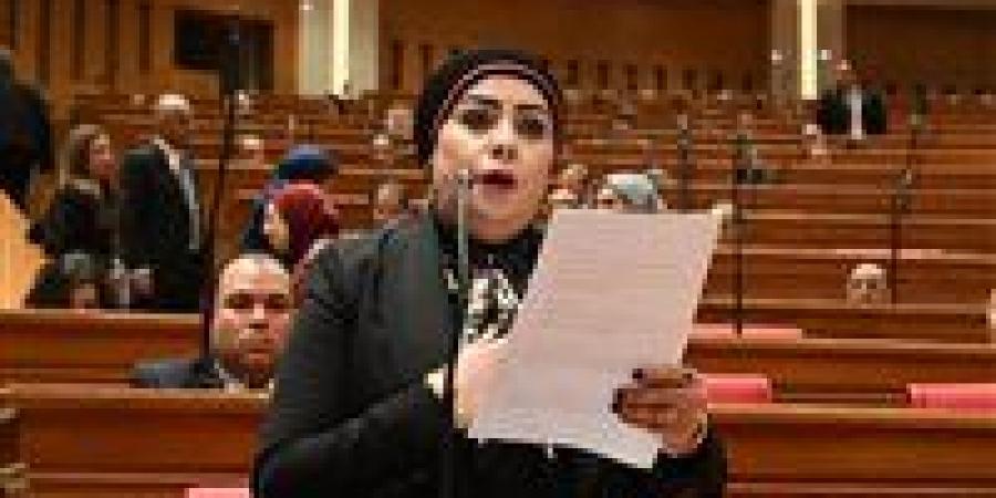 بعد طلب إحاطة من النائبة جيهان شاهين.. اتصالات النواب توصي بمعاينة عاجلة وحلول جذرية لأزمة ضعف شبكات المحمول بحدائق الأهرام