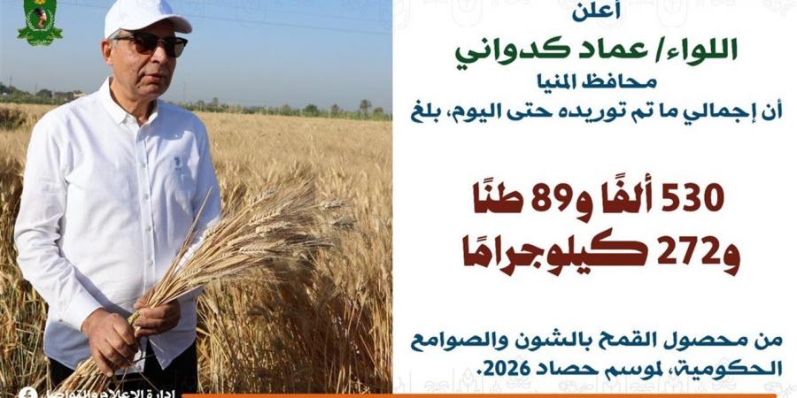 استمرار توريد القمح بجميع الشون والصوامع في المحافظة
