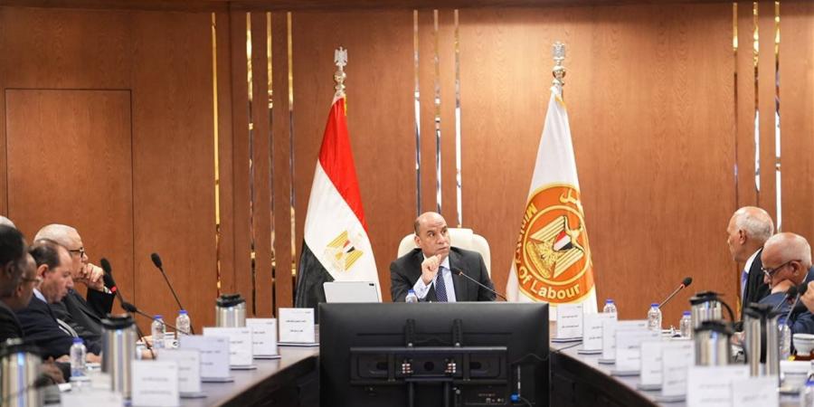 وزير العمل: صرف 76.4 مليون جنيه لـ12 ألفا و365 عاملا بـ5 منشآت