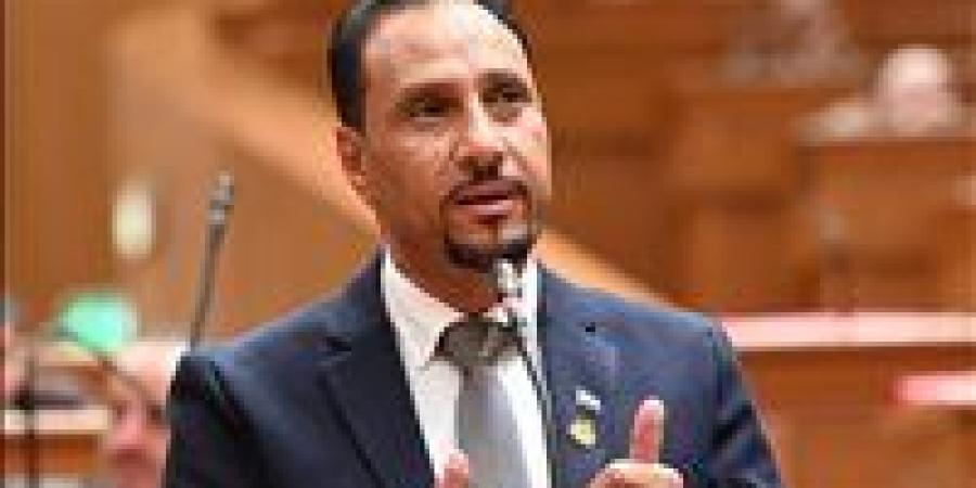 جرجس لاوندي: زيادة موازنة الصحة 25% غير كافية وحدها لتحسين جودة حياة المواطن