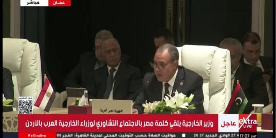 عبد العاطي: القضية الفلسطينية ستظل دومًا القضية المركزية للعرب