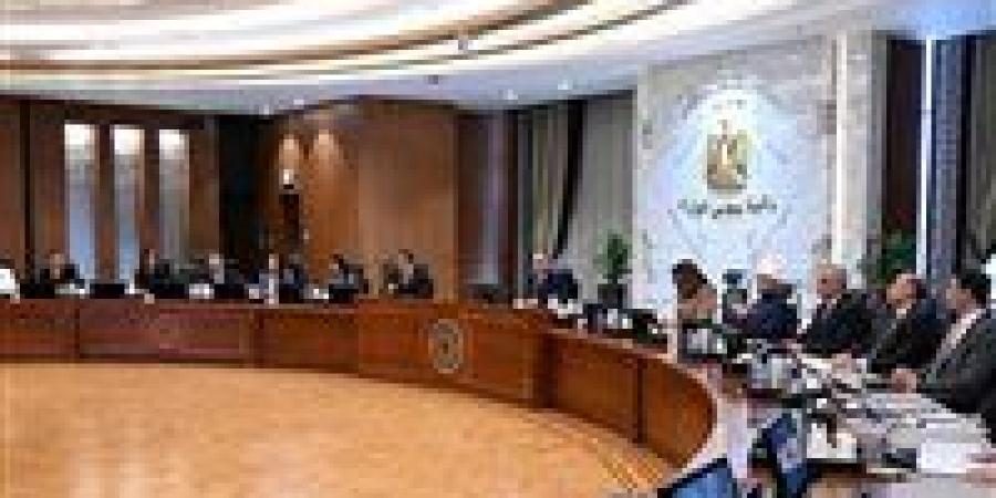 رئيس الوزراء: خفض معدل الإنجاب الكلي من 2.54 في نهاية عام 2023 لـ 2.34 في نهاية 2025