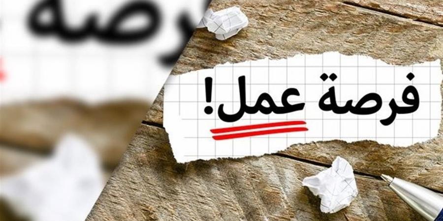 عاجل.. قدم الآن.. فرص عمل جديدة بالجيزة برواتب تصل إلى 28 ألف جنيه شهريًا وتأمينات وحوافز