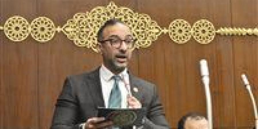 ضمن إنجازات مجلس الشيوخ.. مقترح الحمامصي لتصدير العقار يتحول إلى توصيات رسمية
