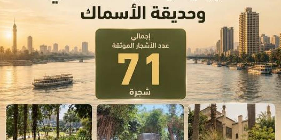 71 شجرة تحرس التاريخ.. رحلة "التنسيق الحضاري" في الأزبكية وشبرا الخيمة وحديقة الأسماك
