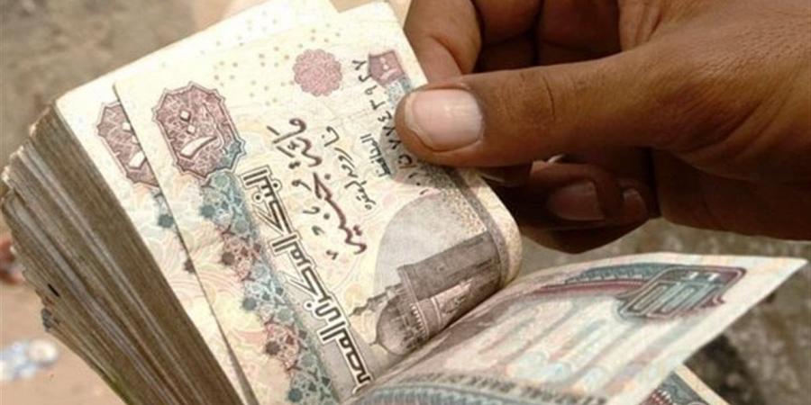 برلماني: زيادة المعاشات 15% تعكس حرص الدولة على دعم الحماية الاجتماعية وتحسين معيشة المواطنين