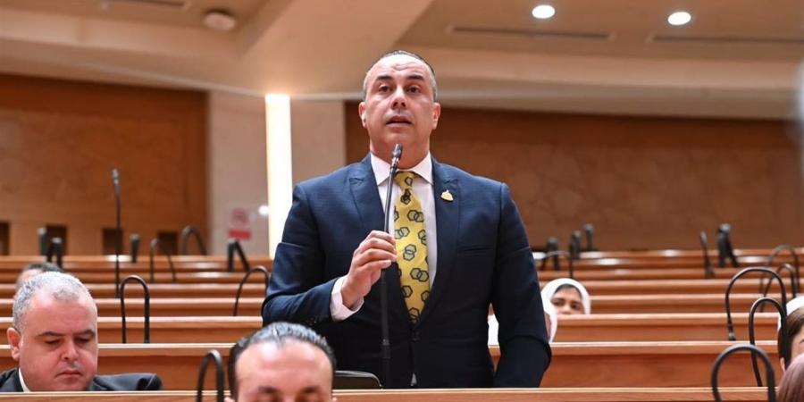 برلماني: أصحاب المعاشات يستحقون دعمًا مستمرًا يتناسب مع الأعباء المعيشية