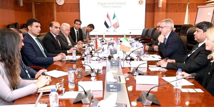 مبادرة حكومية تستهدف تركيب محطات طاقة شمسية على أسطح 7000 مصنع