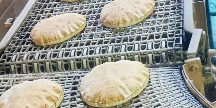 حملات التموين بكفر الشيخ تضرب المخالفين.. غلق محال تموينية وتحرير 15 محضرًا للمخابز ومستودعات الغاز