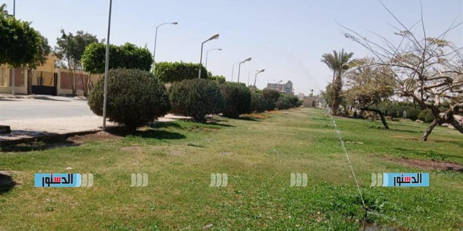 الإسماعيلية تكثف أعمال التشجير والتجميل لدعم المساحات الخضراء في حي الشيخ زايد
