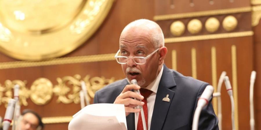 برلماني يشيد بالشركة المتحدة: "الفان زون" لم تكن مجرد فكرة ترفيهية عابرة بل تجربة راقية