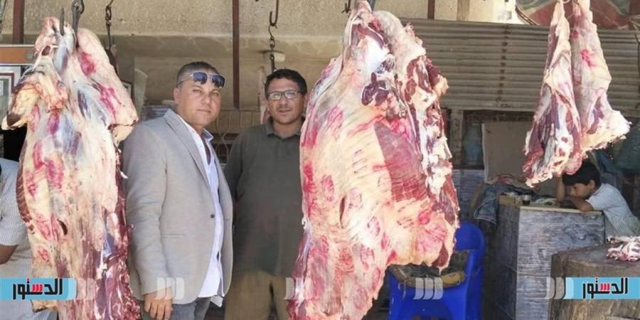 طب بيطري مطروح: حملة مفاجأة على محال بيع اللحوم لضبط الأسعار