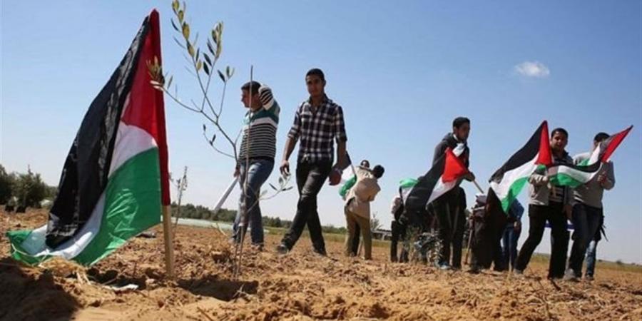 عمرو الورداني: مصر ترفض محاولات التهجير والتصفية وتدعم حقوق الشعب الفلسطيني