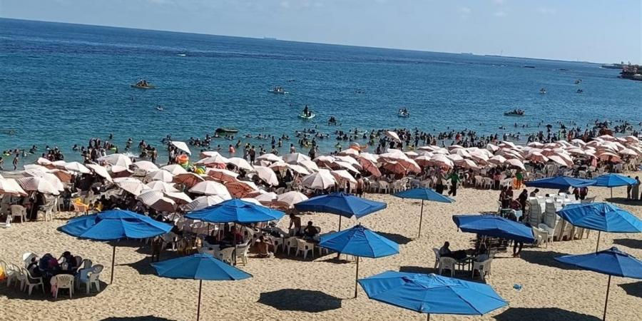 دقوا الشماسى الشواطئ كاملة العدد بحثًا عن أجواء البحر والاستجمام