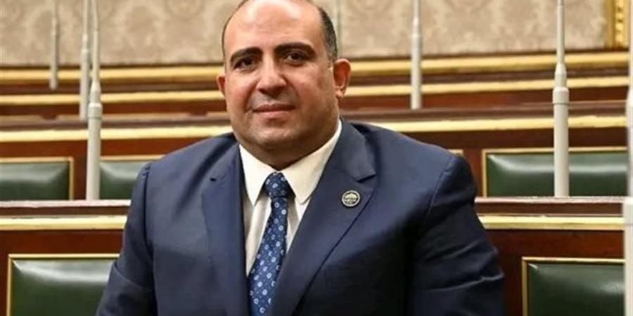 النائب محمد سليم: مصر استعادت ريادتها الإفريقية بعد 30 يونيو