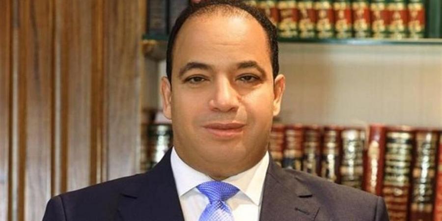 عبد المنعم السيد: 30 يونيو شكلت نقطة تحول وضعت الأساس لبناء اقتصاد جديد