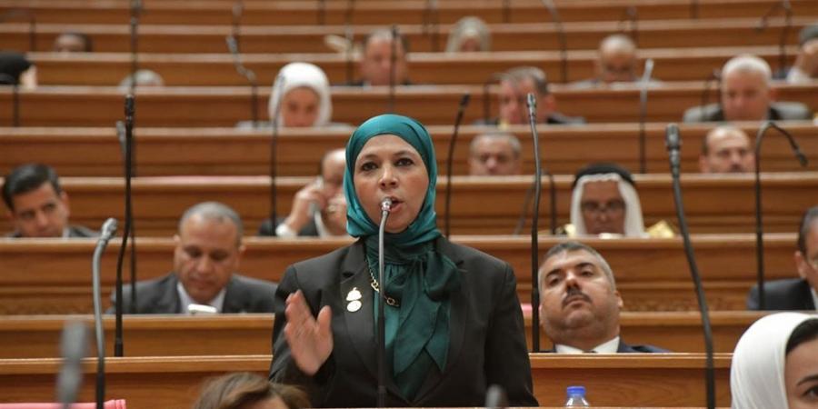 برلمانية تطالب بحلول فورية لنقص ألبان الأطفال وأزمة الأطباء بالوحدات الصحية