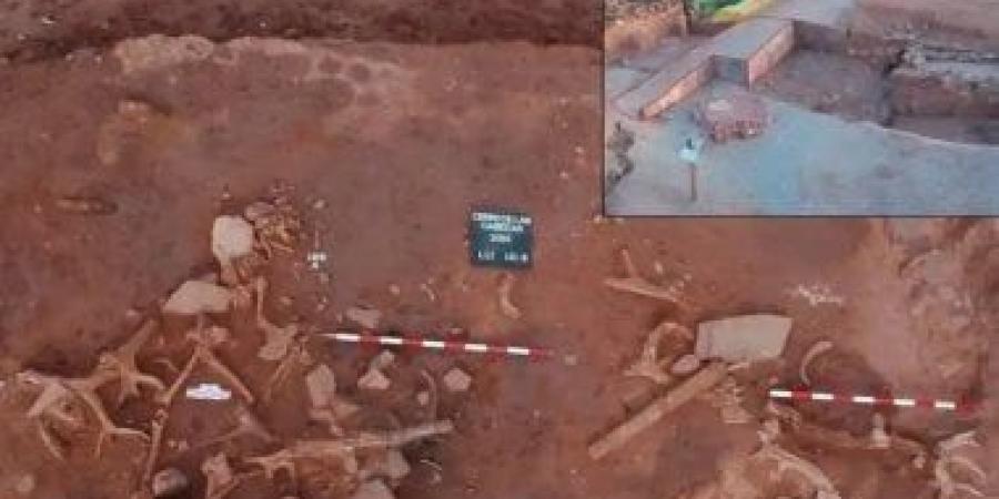 مدفن غامض يكشف عن طقوس عنيفة فى إسبانيا.. ما القصة؟