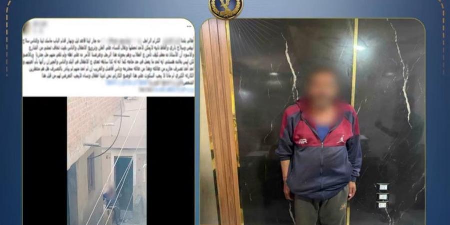 الداخلية تكشف حقيقة فيديو ترويع المواطنين في كفر الشيخ.. ضبط المتهم وحبسه على ذمة التحقيقات