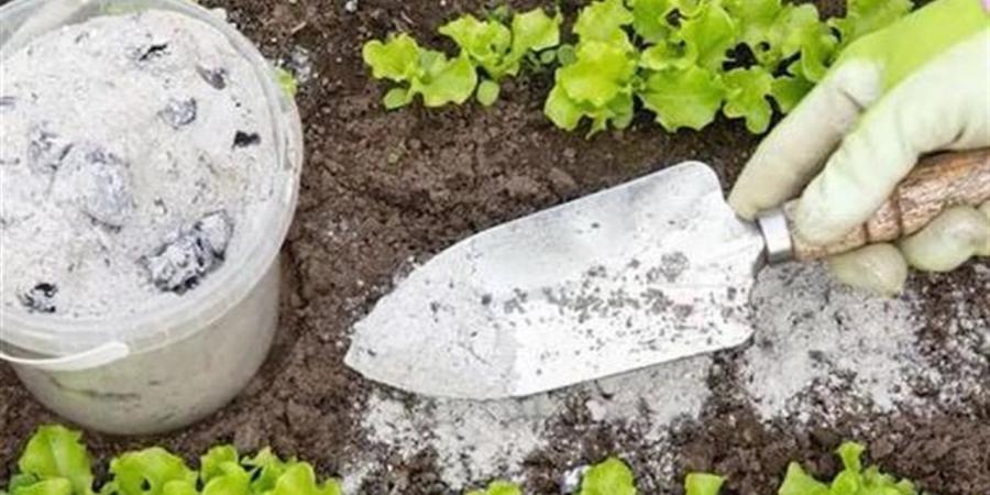 «زراعة النواب» تضع خارطة طريق لحل أزمة الأسمدة وتسوية مستحقات المزارعين