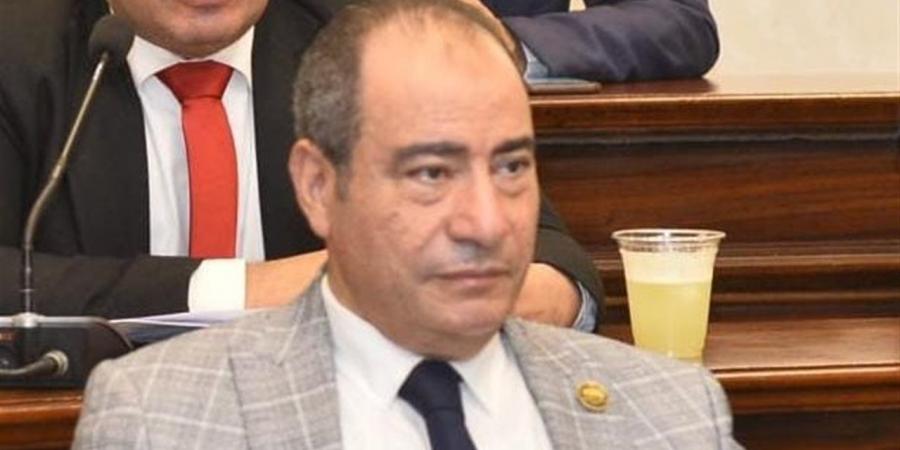 مجاهد نصار: كلمة الرئيس في ذكرى 30 يونيو تؤكد أن المواطن المصري هو بطل معركة استعادة الوطن