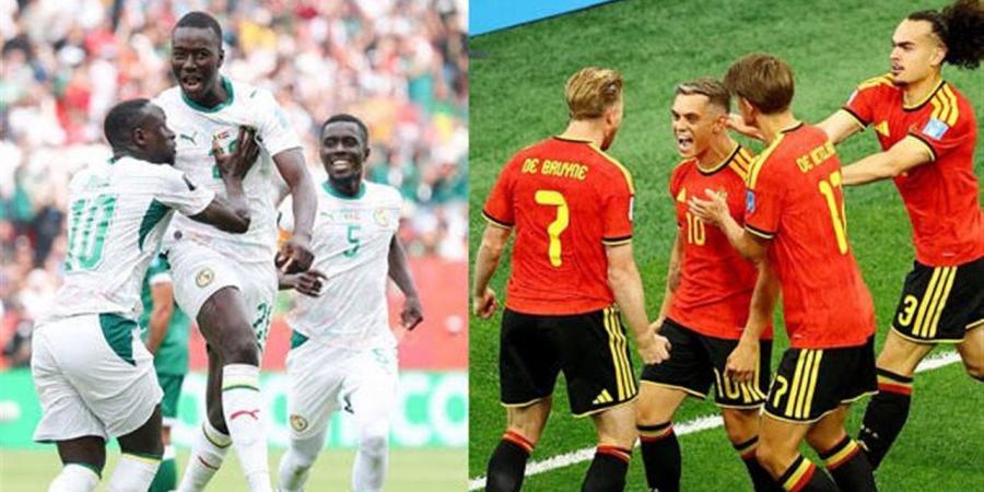 الصدام الرسمي الأول.. تاريخ مواجهات بلجيكا والسنغال قبل قمة كأس العالم 2026