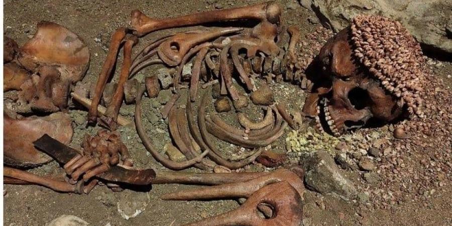 عناية طبية وطقوس جنائزية قبل 27 ألف عام.. قصة أمير نجا من هجوم دب