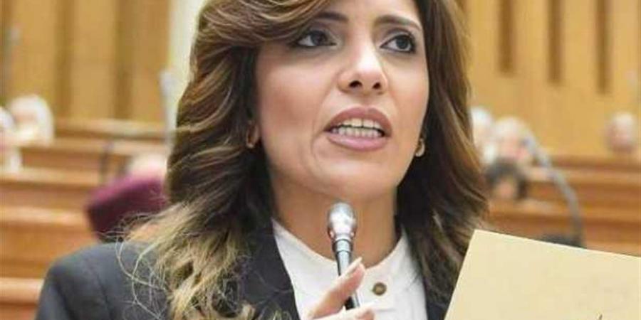 النائبة رانيا الشيمي: 3 يوليو محطة وطنية أعادت ترسيخ مؤسسات الدولة