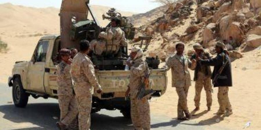 دعم الشرعية: سنرد بحزم لحماية أمن السعودية وسيادة اليمن