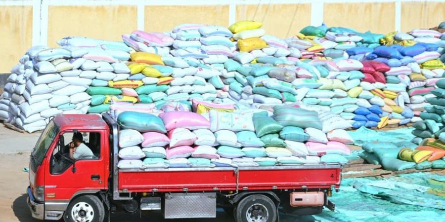 استمرار توريد القمح المحلي بالبحيرة واستقبال أكثر من 412 ألف طن بالصوامع والشون