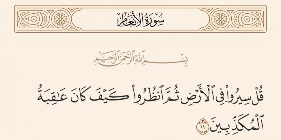 لماذا أمر الله الناس بالسير في الأرض؟ الشعراوي يوضح الحكمة (فيديو)