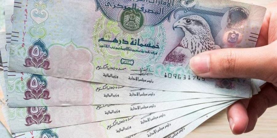 سعر الدرهم الإماراتي مقابل الجنيه في البنك المركزي (آخر تحديث)