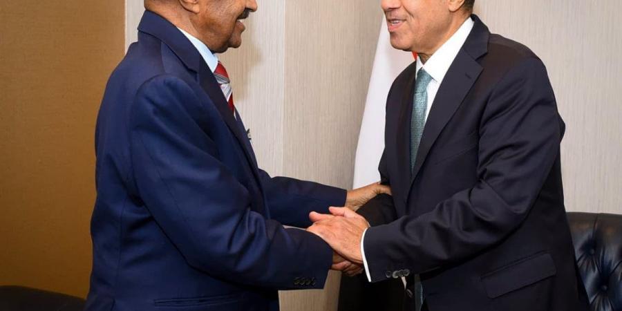 وزير الخارجية يبحث مع نظيره الإريتري تعزيز العلاقات الثنائية والتنسيق إزاء القضايا الإقليمية