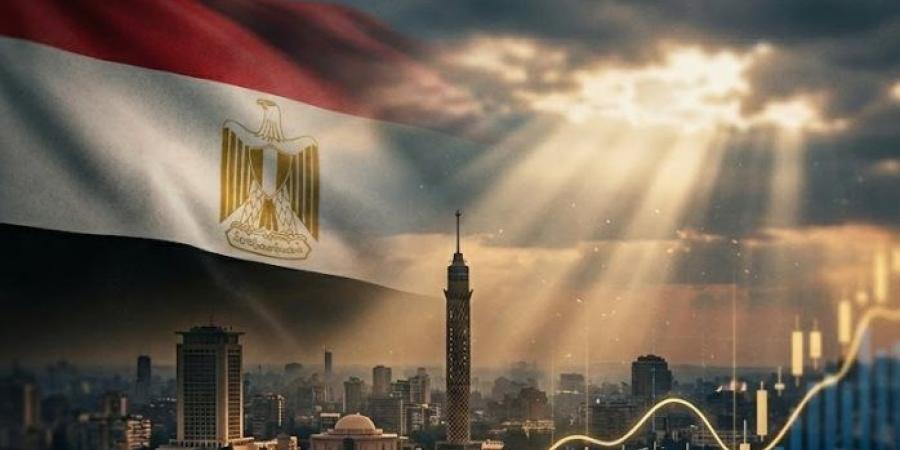 رئيس هيئة الاستثمار السابق يكشف لـ " فيتو" سر تحرك الأموال الساخنة