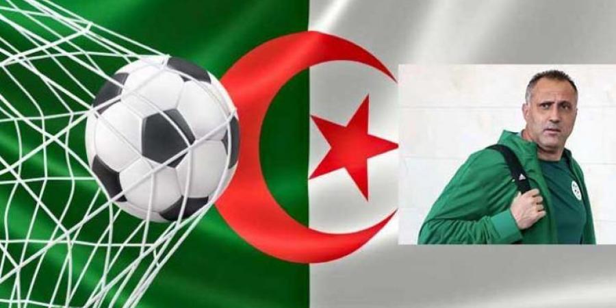 مدرب منتخب الجزائر يحذر من افتقاد الفعالية أمام المنتخبات القوية