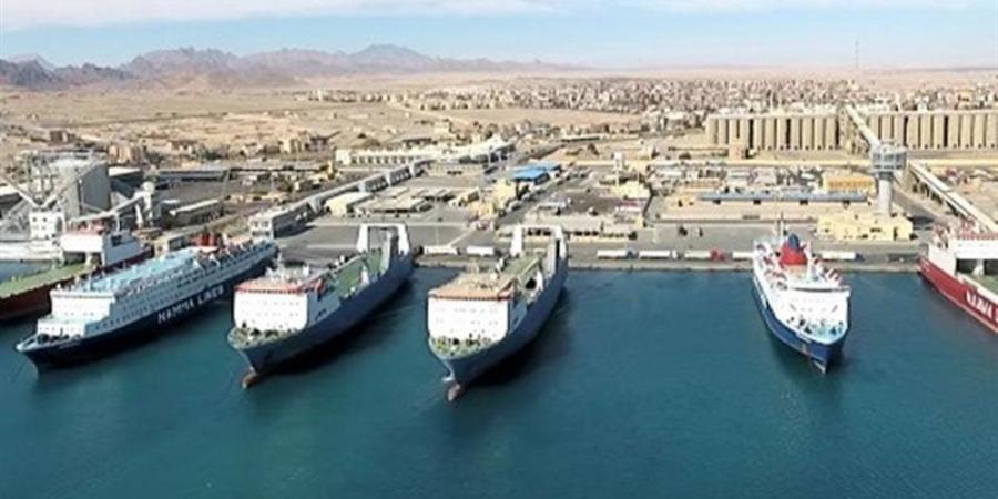 تداول 12 ألف طن و635 شاحنة بضائع عامة ومتنوعة بموانئ البحر الأحمر