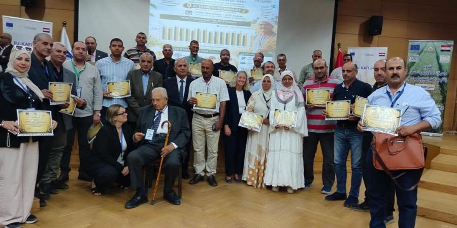 31.7 أردب للفدان، مفاجأة بنتائج مشروع «يو كافي» في حقول القمح الاسترشادية
