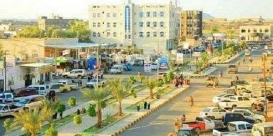 مستشار وزير الدفاع اليمنى: أبطلنا محاولات الحوثيين لتثبيت عناصرهم فى الساحل الغربى
