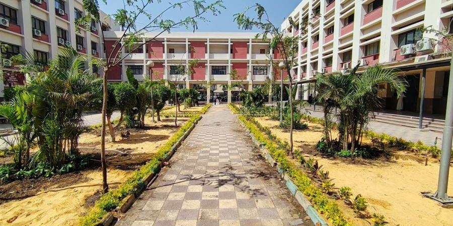 بعد فيديو قطع الأشجار، تجارة عين شمس تعيد زرع الحرم الجامعي (صور)