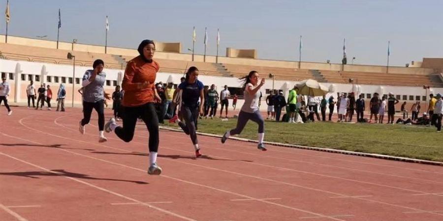جامعة عين شمس تبدأ حصد الميداليات في أسبوع شباب الجامعات الرابع عشر