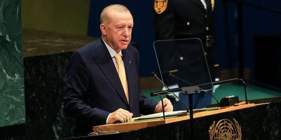 أردوغان: أزمة الصناديق الاستثمارية لا تمثل خطورة على النظام المالي التركي
