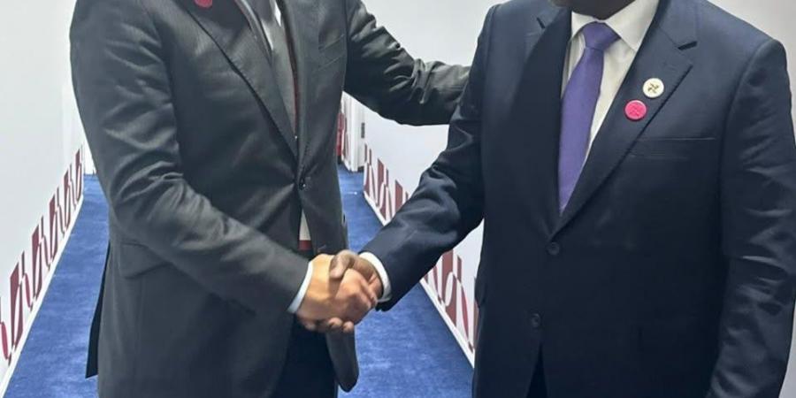وزير المالية: التنوع الاقتصادي وتحسن المؤشرات المالية أهم ركائز التعاون المصري التنزاني