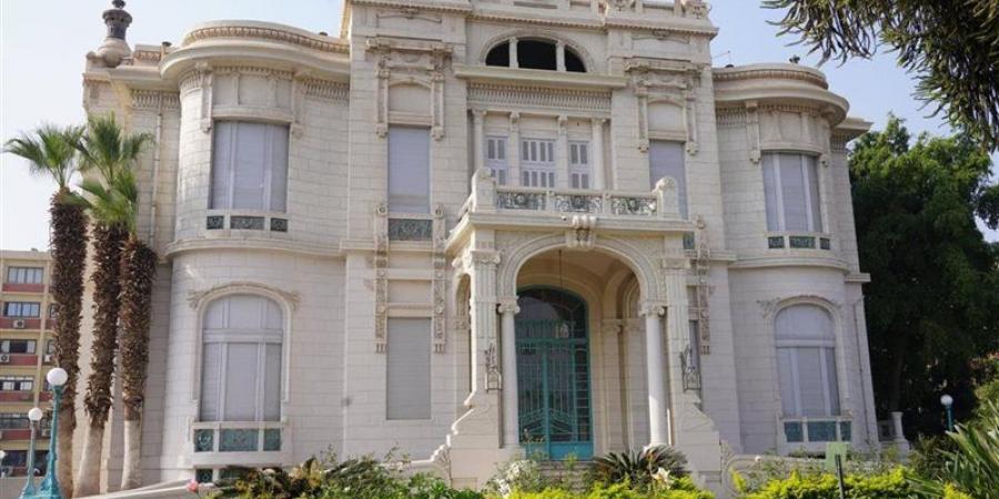 جامعة عين شمس تكشف حقيقة قطع الأشجار بكلية التجارة