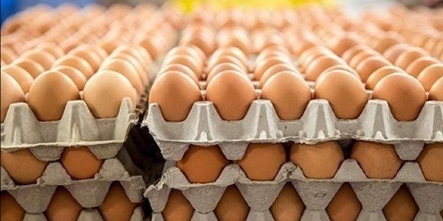 سعر كرتونة البيض اليوم الإثنين في بورصة الدواجن