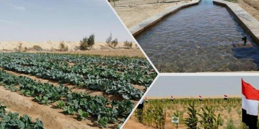 نائب يسأل الحكومة عن خطة ربط الصناعات الغذائية بالمشروعات الزراعية