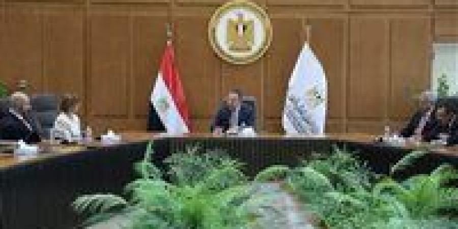وزير التعليم العالي والقائم بعمل وزير الثقافة يبحث تعزيز التعاون مع شركة فيليبس
