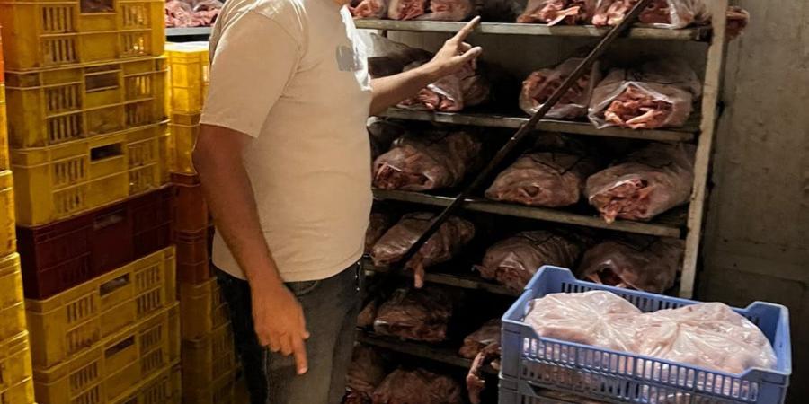 ضبط 70 طن لحوم ودواجن فاسدة وغير صالحة للاستهلاك الآدمي في الجيزة